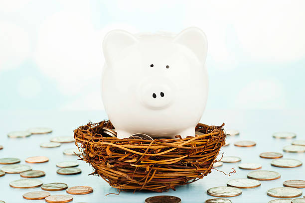 istock Piggy Bank Incubating its Nest Egg 175513550