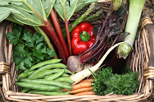 istock Basket of fresh vegetables and herbs 175513563