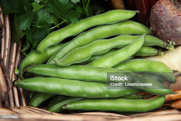 Photo libre de droit de Broadbeans banque d'images et plus d'images libres de droit de Aliment - Aliment, Aliments et boissons, Couleur verte