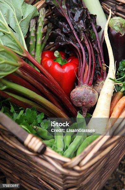 Koszyk Organicznych Warzyw - zdjęcia stockowe i więcej obrazów Bakłażan - Bakłażan, Rabarbar, Bez ludzi