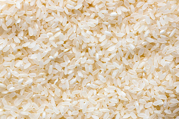 ryż tle - rice cereal plant white rice white zdjęcia i obrazy z banku zdjęć