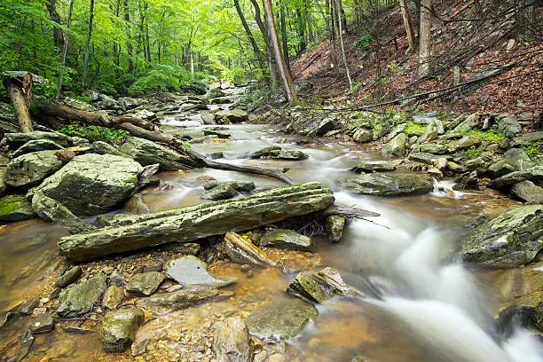 Photo of Catoctin Mountain Stream