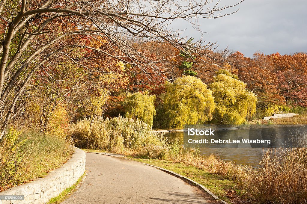 Autumn Colours High Park A walking path around Grenadier Pond in Toronto's High Park on a windy overcast Autumn day with large willow trees blowing in the wind and vibrant fall colours lining the pond. Autumn Stock Photo