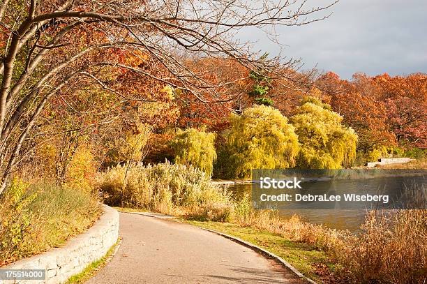 Autumn Colours High Park Stock Photo - Download Image Now - Autumn, Autumn Leaf Color, Bare Tree