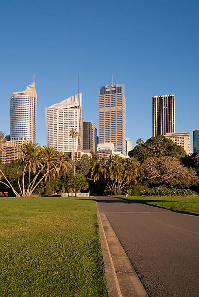 istock Sydney CBD - Corporate Jungle 175514281