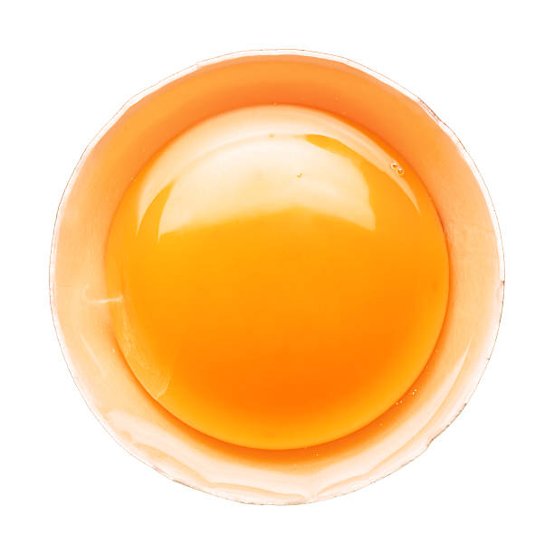 frais broken egg partielle sur blanc - protein isolated shell food photos et images de collection