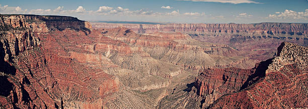 istock Grand Canyon North Rim 175514545