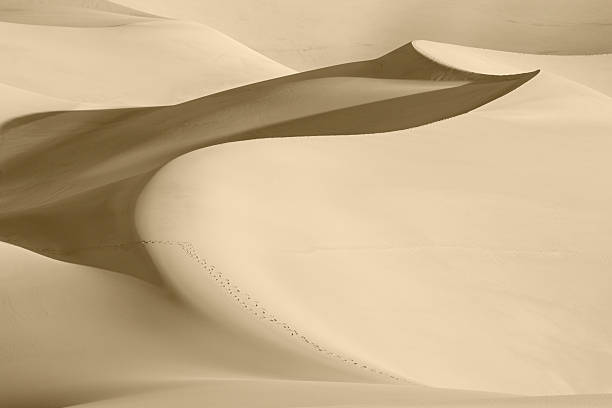 Great Sand Dunes National Park, in Colorado USA "Abstract shapes, forms, textures and lines created by the shadows of the changing dunes." great sand dunes national park stock pictures, royalty-free photos & images