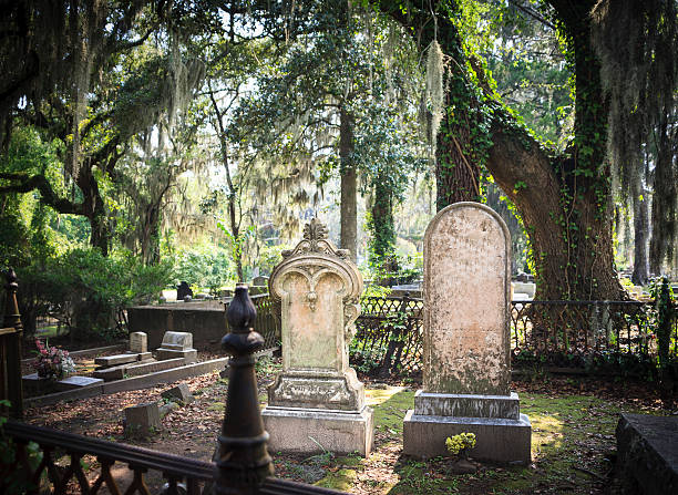 friedhof tombstones - gothic style horror cemetery spooky stock-fotos und bilder