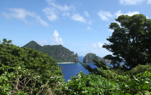 View over lush greenery and blue ocean of American Samoa