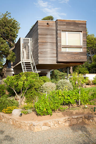 istock Ecological. Modern and Efficient Wooden Design House 175515039