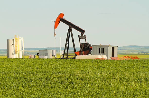 bomba petrolífera pumpjack em um campo - oil pump oil industry alberta equipment imagens e fotografias de stock