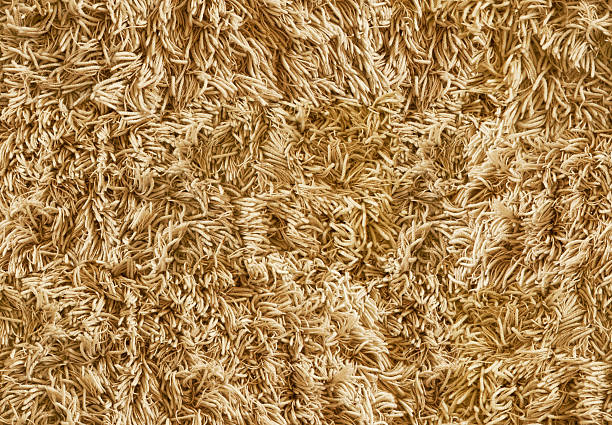 Seamless Textile Background of Beige Carpet. "Top and Bottom, Right and Left Parts of the Wall Suit each other without any Seams. Seamless Textile Background of Beige Carpet." shag rug stock pictures, royalty-free photos & images