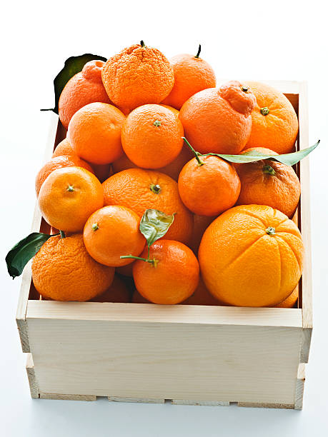 crate of oranges 3 - foto de acervo