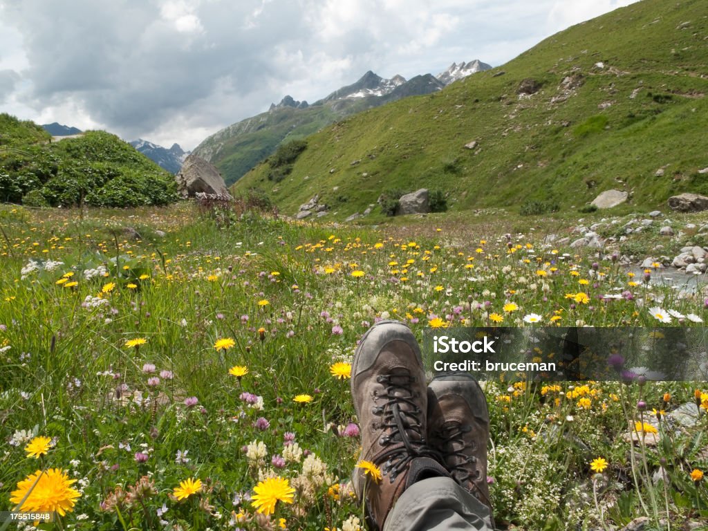 Scarponcini da Hiking e fiori selvatici - Foto stock royalty-free di Alpi
