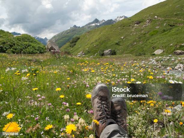 Scarponcini Da Hiking E Fiori Selvatici - Fotografie stock e altre immagini di Alpi - Alpi, Ambientazione esterna, Attività