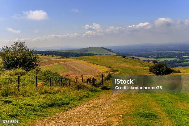 South Downs Stock Photo - Download Image Now - South Downs, Accessibility, Agriculture