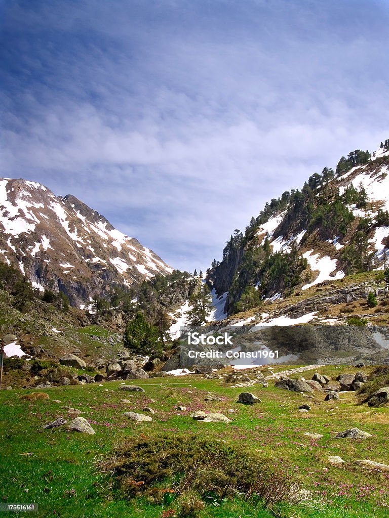 Valley - Foto de stock de Primavera - Estación libre de derechos