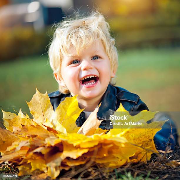 Rapaz Ao Ar Livre - Fotografias de stock e mais imagens de Humor - Humor, Ácer, 2-3 Anos