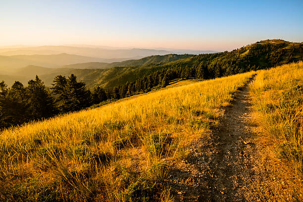 hermoso mañana mores a las montañas-idaho - idaho fotografías e imágenes de stock