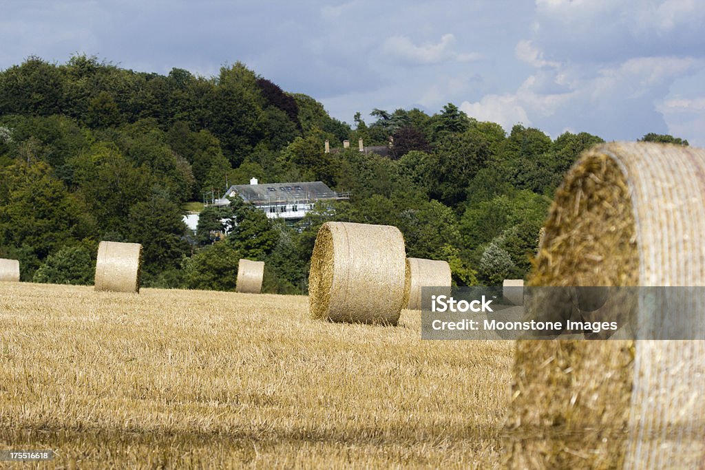 Eynsford em Kent, Inglaterra. - Foto de stock de Agricultura royalty-free