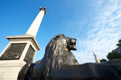 Trafalgar Square Lion looks fierce at the foot of Nelson's Column in London