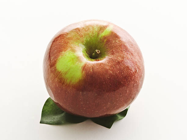 Uma maçã macoun - foto de acervo
