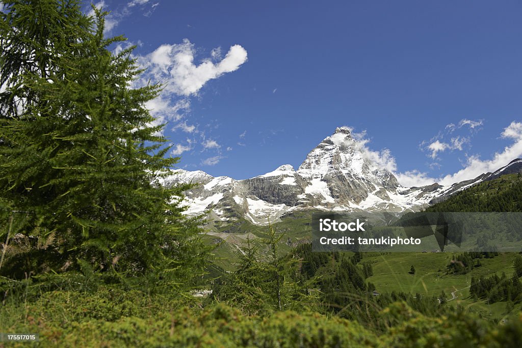 Cervino during Summer The South face of mount Matterhorn (Cervino) and the Grandes Murailles seen from Valsavarenche Valley. Italy. Color Image Stock Photo