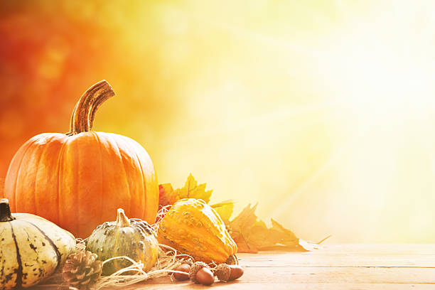 autunno ancora vita in condizioni di luminosità intensa - pumpkin autumn october squash foto e immagini stock