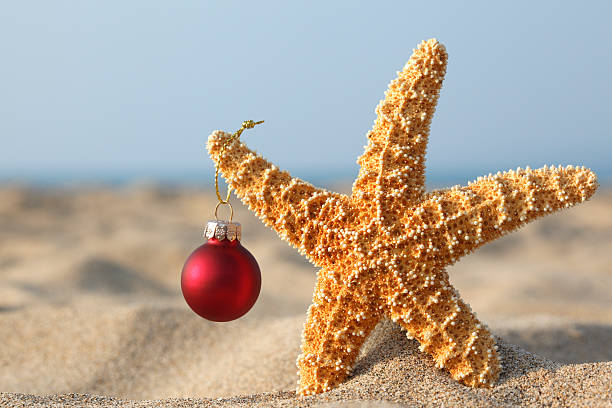 istock Christmas at the Beach 175517157