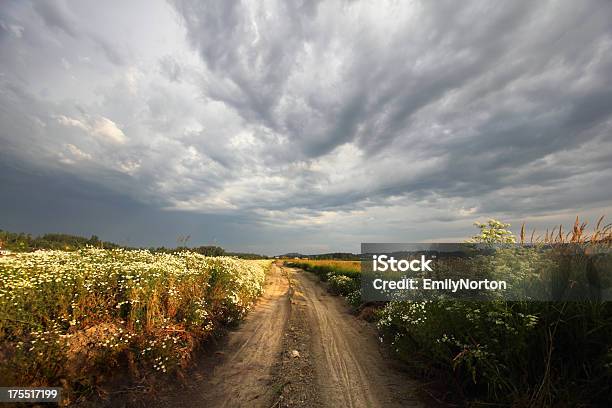 Carretera De Campo Foto de stock y más banco de imágenes de Agricultura - Agricultura, Aire libre, Canadá