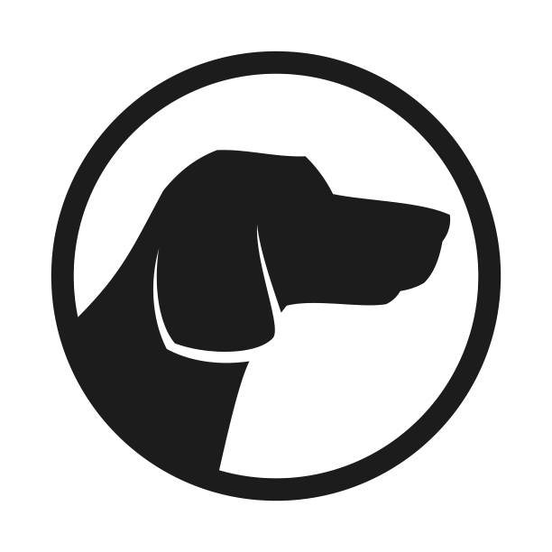 Dog Head Silhouette In Circle - cut out vector icon Stylized head silhouette of a hunting dog. English or German Pointer, Labrador, Beagle or American Greyhound head silhouette in a circle - cut out vector icon t shirt transfer stock illustrations