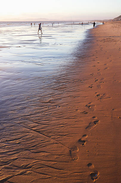 istock Beach in Portugal at Sunset 175517378