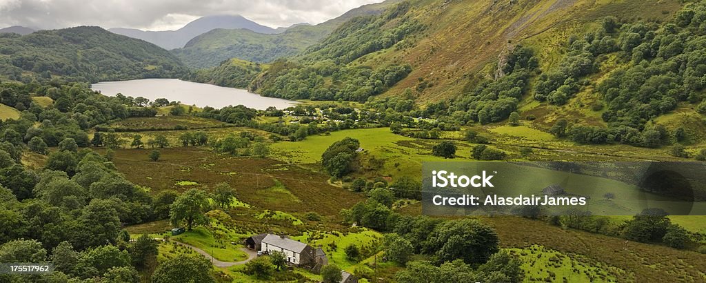 Nant Gwynant panorama "Llyn Gwynant near Beddgelert, Snowdonia." Agricultural Field Stock Photo