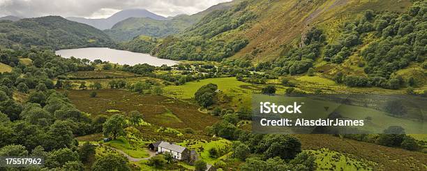 Nant Gwynant Panorama Stock Photo - Download Image Now - Agricultural Field, Bridge Beddgelert, Color Image