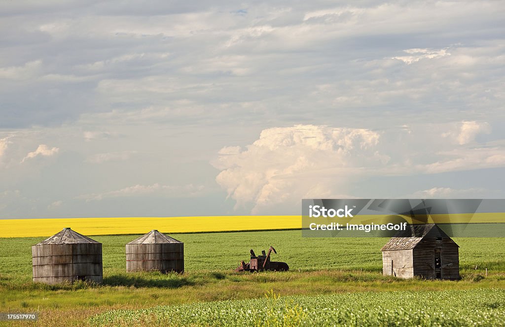 Old Grain Bins on the Plains Three small granaries on the prairie. Saskatchewan Stock Photo