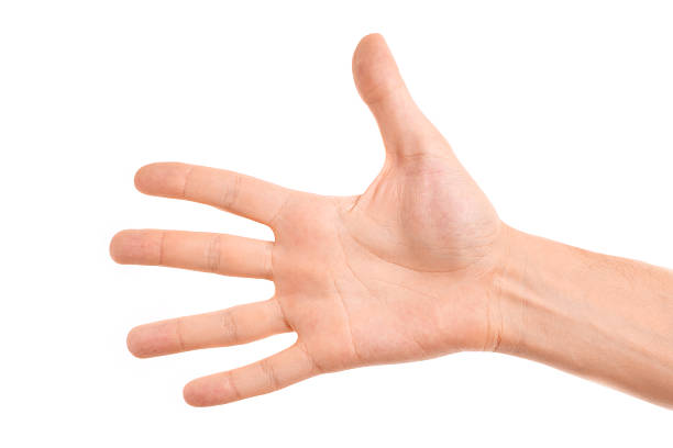 Close-up of a palm of a hand counting five on white background.