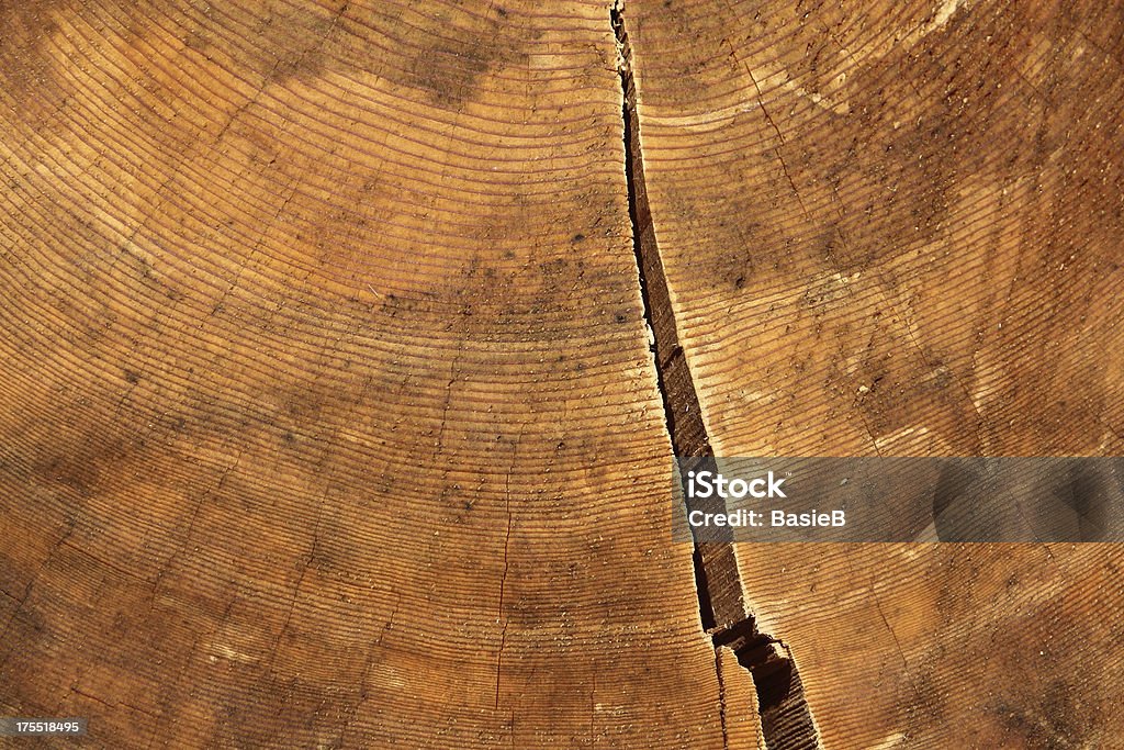 Jährliche Ringe von eine alte Stamm - Lizenzfrei Abgerissen Stock-Foto