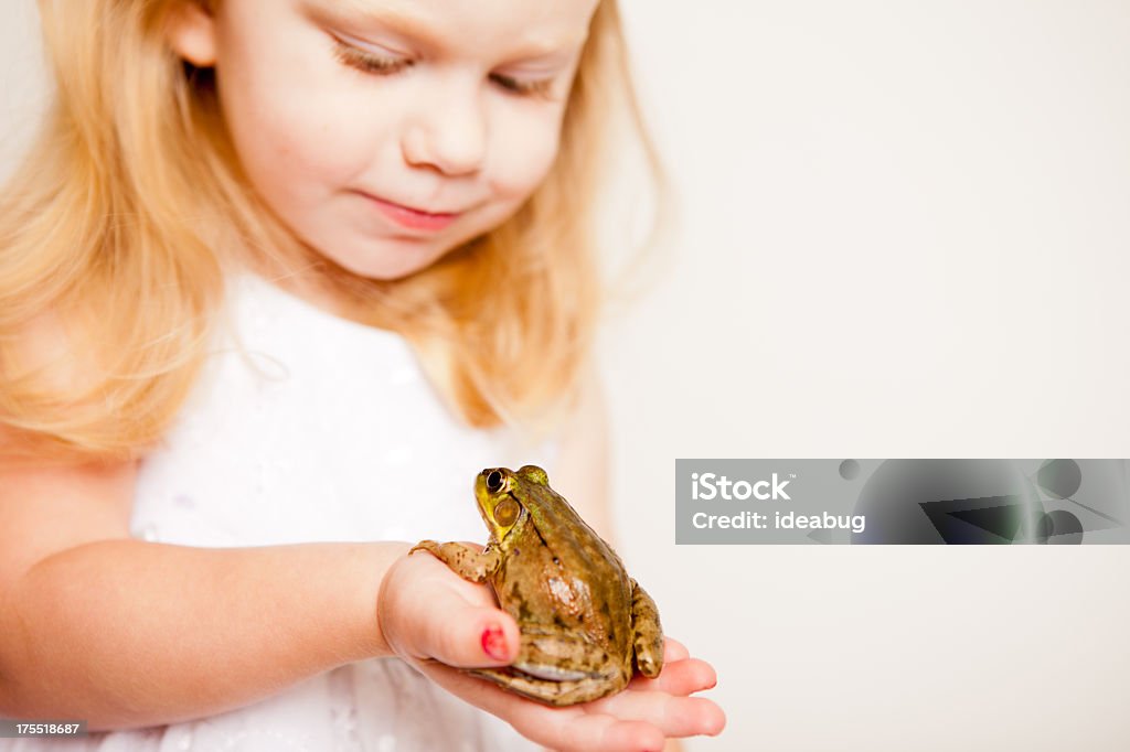 Happy Little Blond Princess Holding a Frog, With Copy Space Color image of a little blond-haired princess girl smiling while holding a frog. If she kisses it will it turn into a prince?  Includes copy space. 2-3 Years Stock Photo