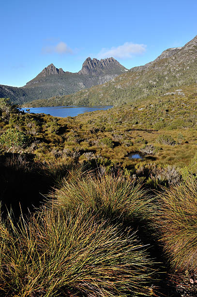 istock Cradle Mountain-Lake St Clair National Park 175519514