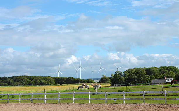belas fazendas com moinhos de vento e cavalos - cloud house blue danish culture - fotografias e filmes do acervo