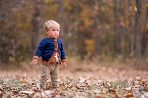 istock Toddler in the Fall Leaves 1755202735