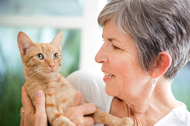 Senior woman posing with her cat stock photo