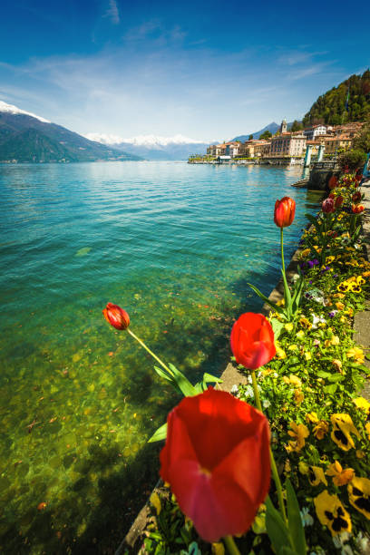 ville de bellagio et des fleurs sur le lac de côme, italie - mountain peak famous place outdoors landscape photos et images de collection