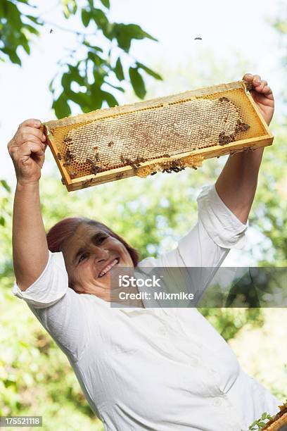 Beekeeper Holding Honeycomb Frame Full Of Honey Stock Photo - Download Image Now - 60-64 Years, Active Seniors, Adult