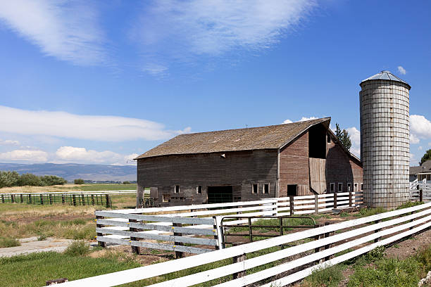 istock American Farmland 175521305