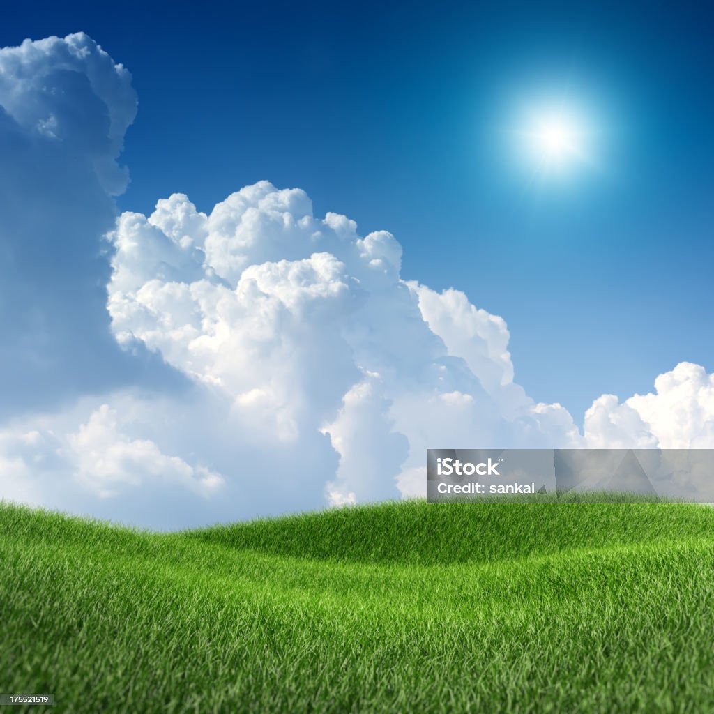 XXXL imagem de campo verde sob o céu azul - Foto de stock de Ajardinado royalty-free