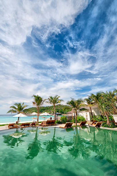 istock Tropical Resort pool with palm trees and ocean 175521599
