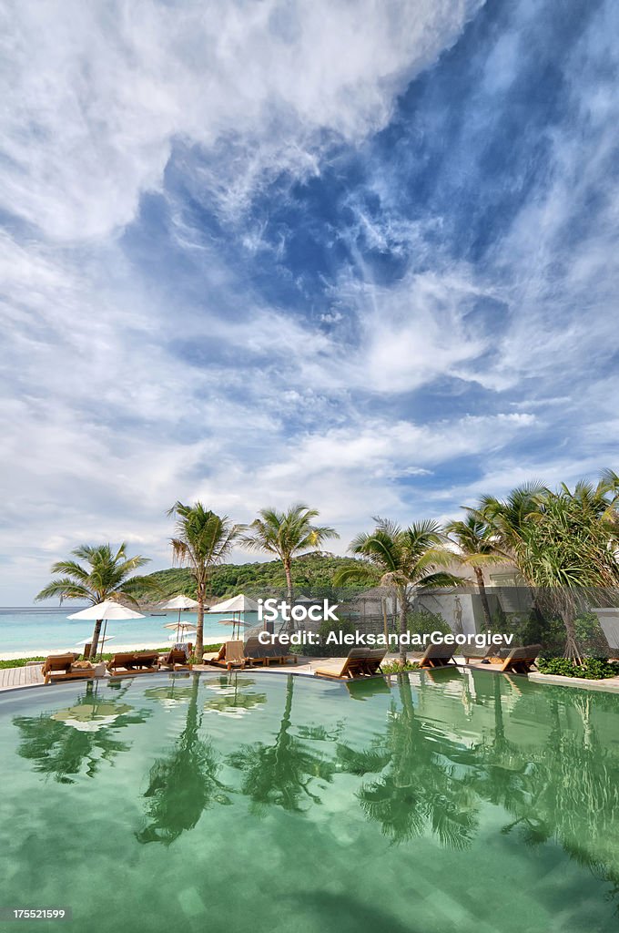 Piscina Resort Tropical com palmeiras, oliveiras e oceanos - Royalty-free Lago Infinito Foto de stock