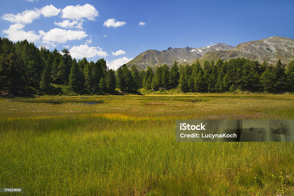 Die Berge im Sommer - Lizenzfrei Alpen Stock-Foto